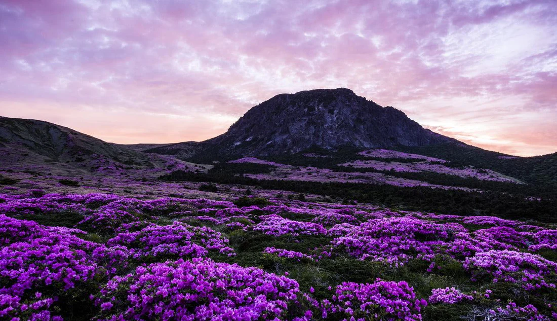 Jeju Island, South Korea’s Tropical Paradise